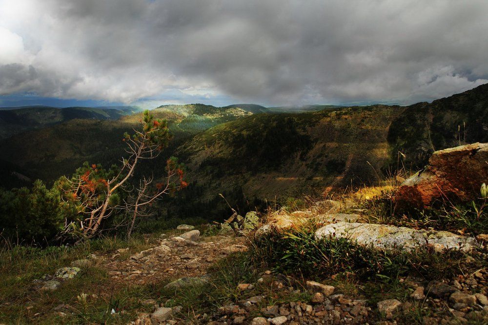 Перед грозой