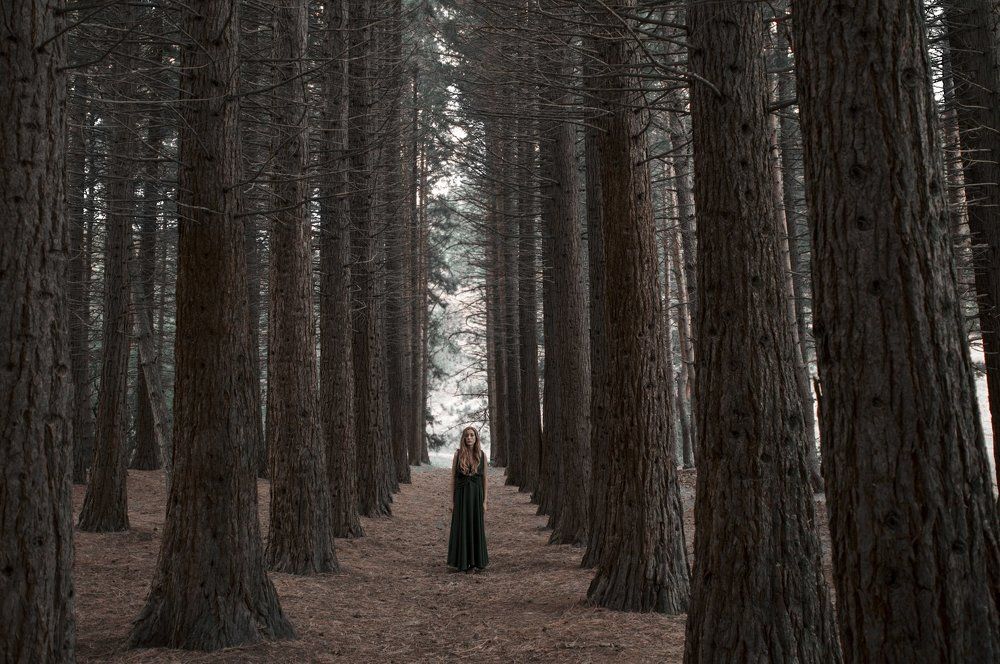 Photograph by Виталий