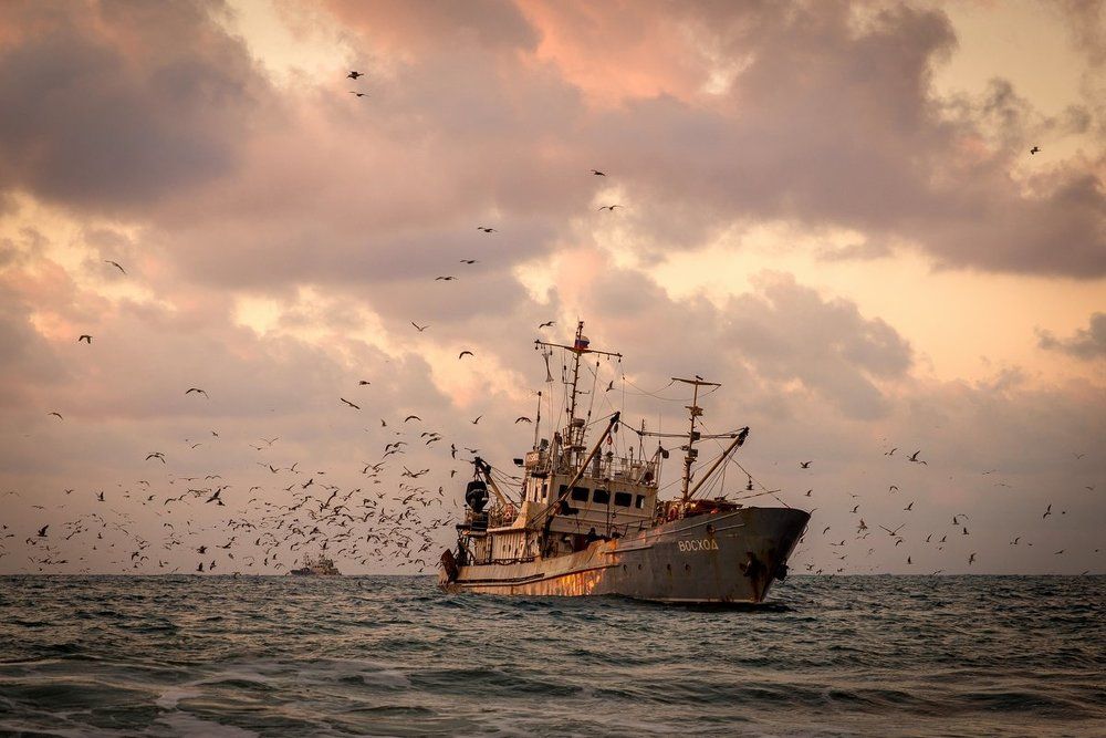 Восход на закате