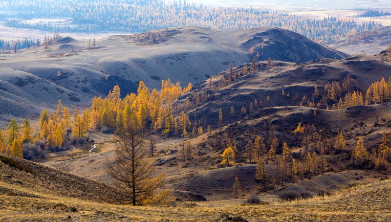 Andrey Haymin, Russia