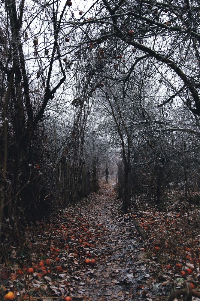 мертвый сад