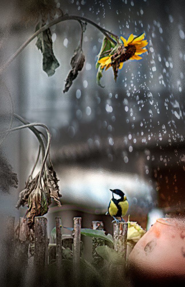 поздняя осень