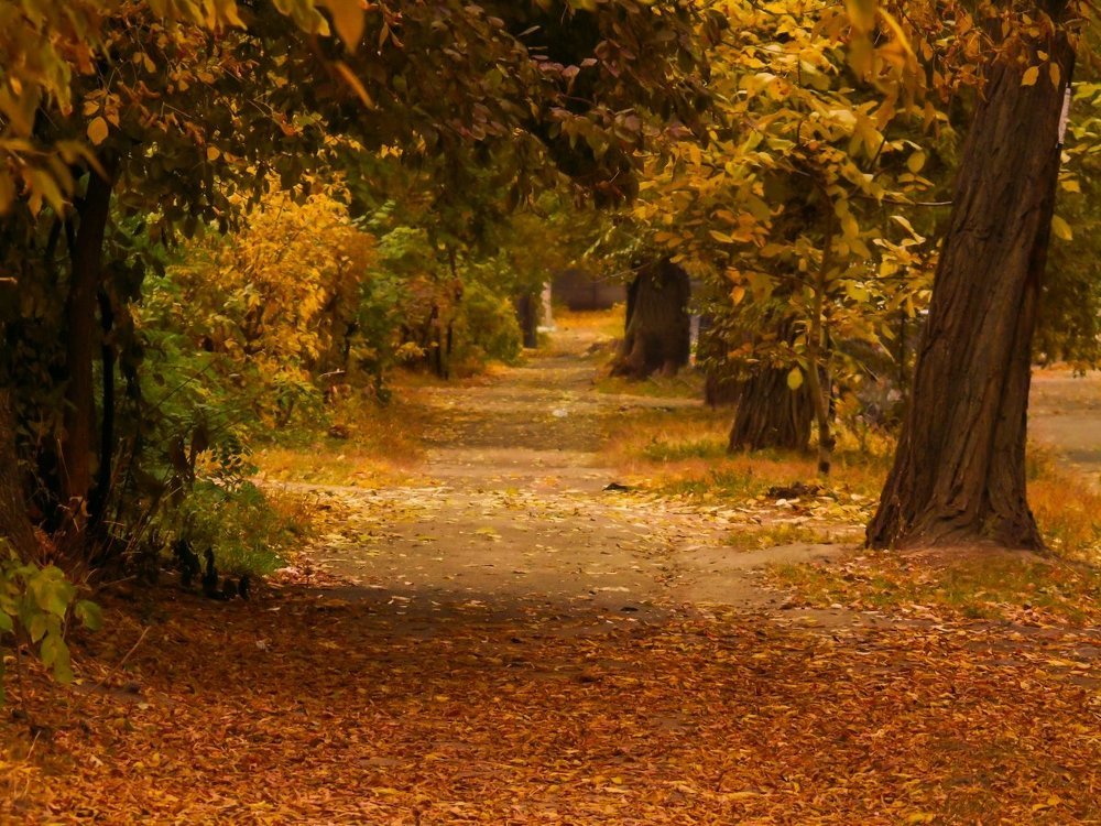 Прекрасная осень