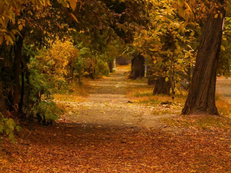 Alexander Mayorov, Ukraine