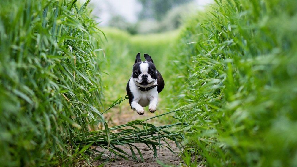 Photograph by Ольга Филатова