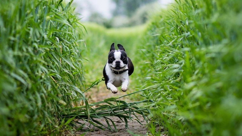 Olga Philatova, Russia