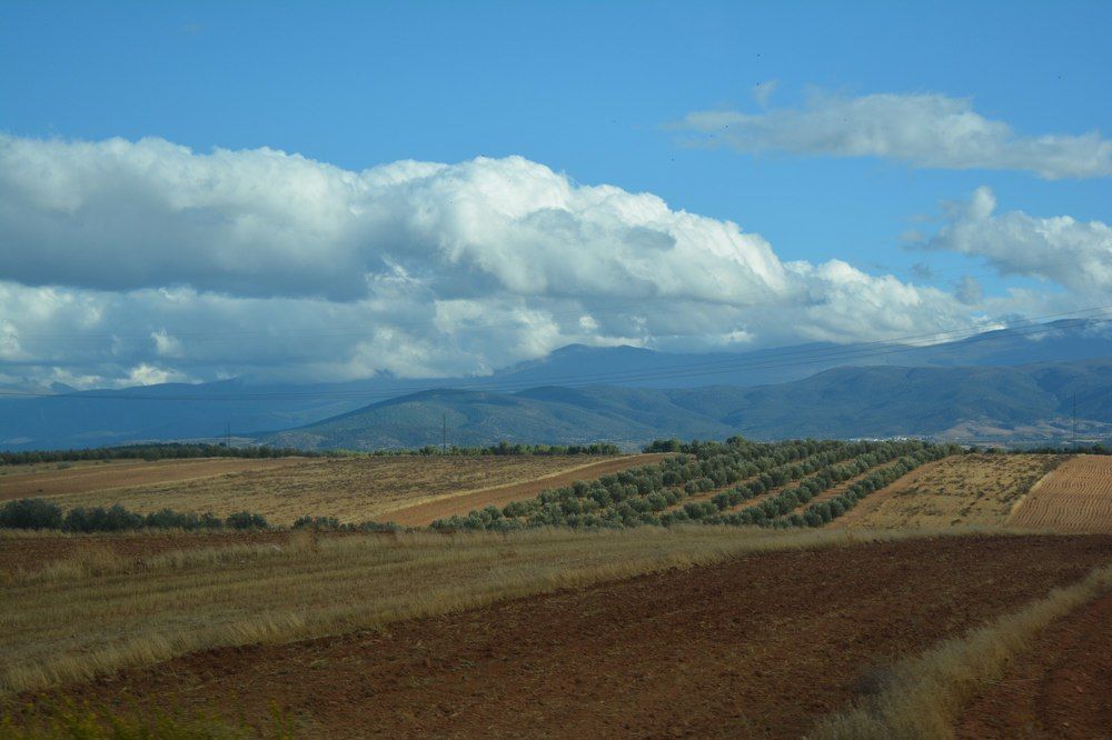 Spanish landscape