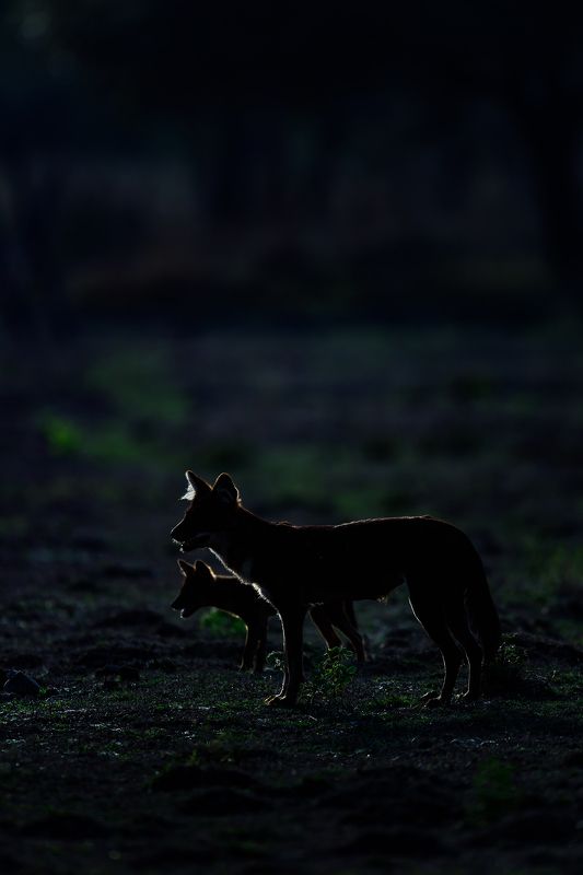 karthik samprathi, India