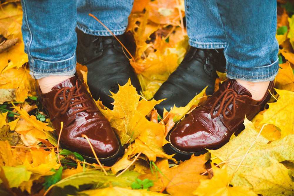 краски осени