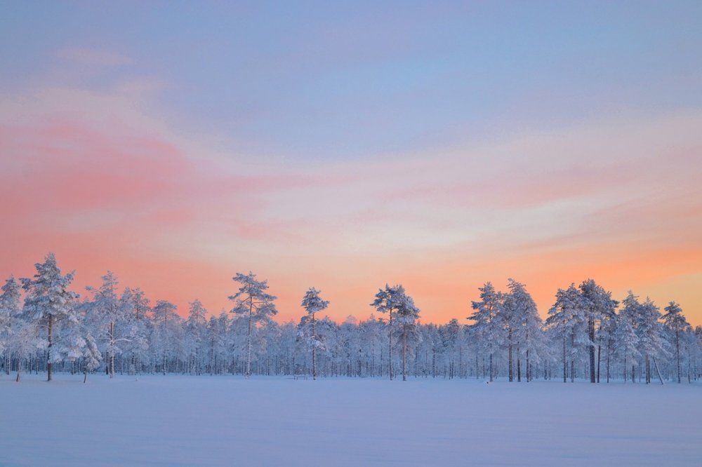 Морозный вечер.