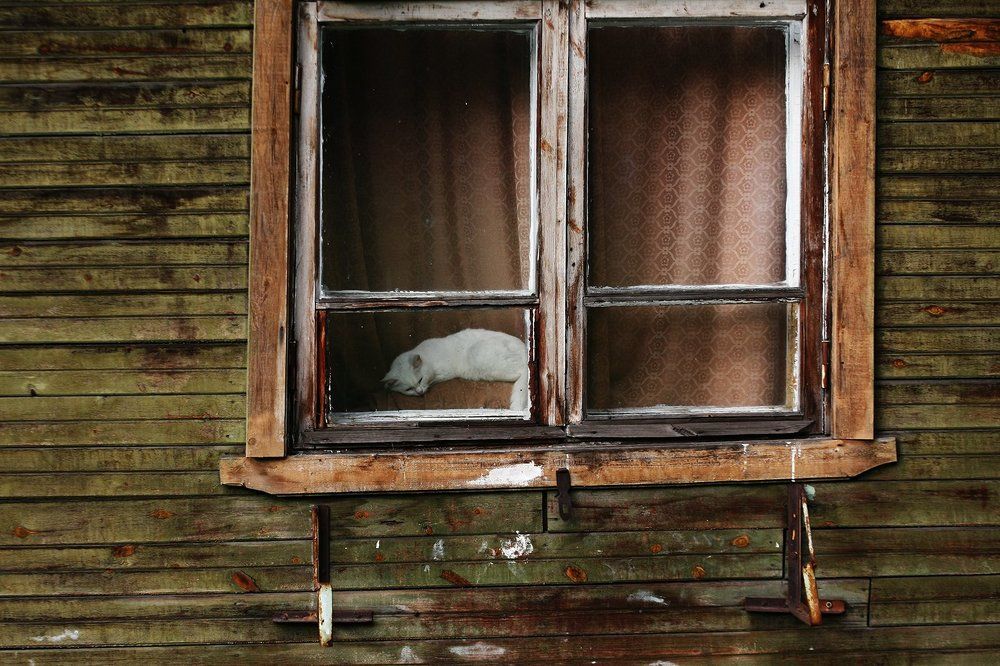 Photograph by Ларионов Владимир