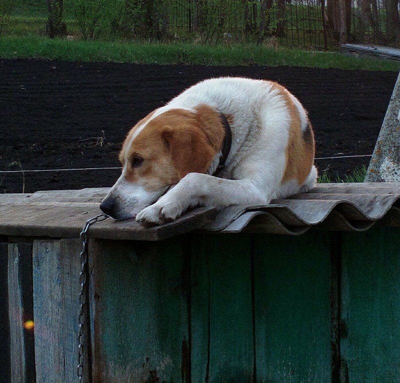 Nikolai Filonenko, Russia