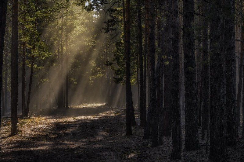 Vladimir Klimov, Russia