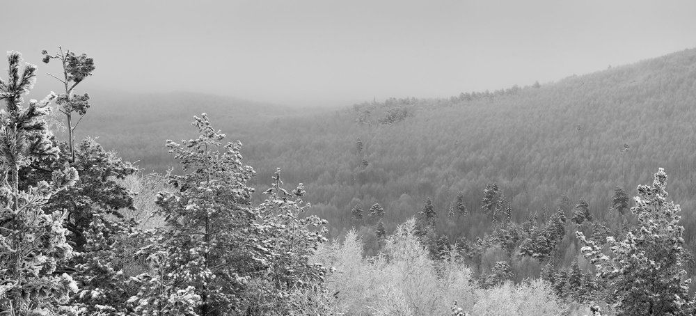 Photograph by Denis Zakalyapin