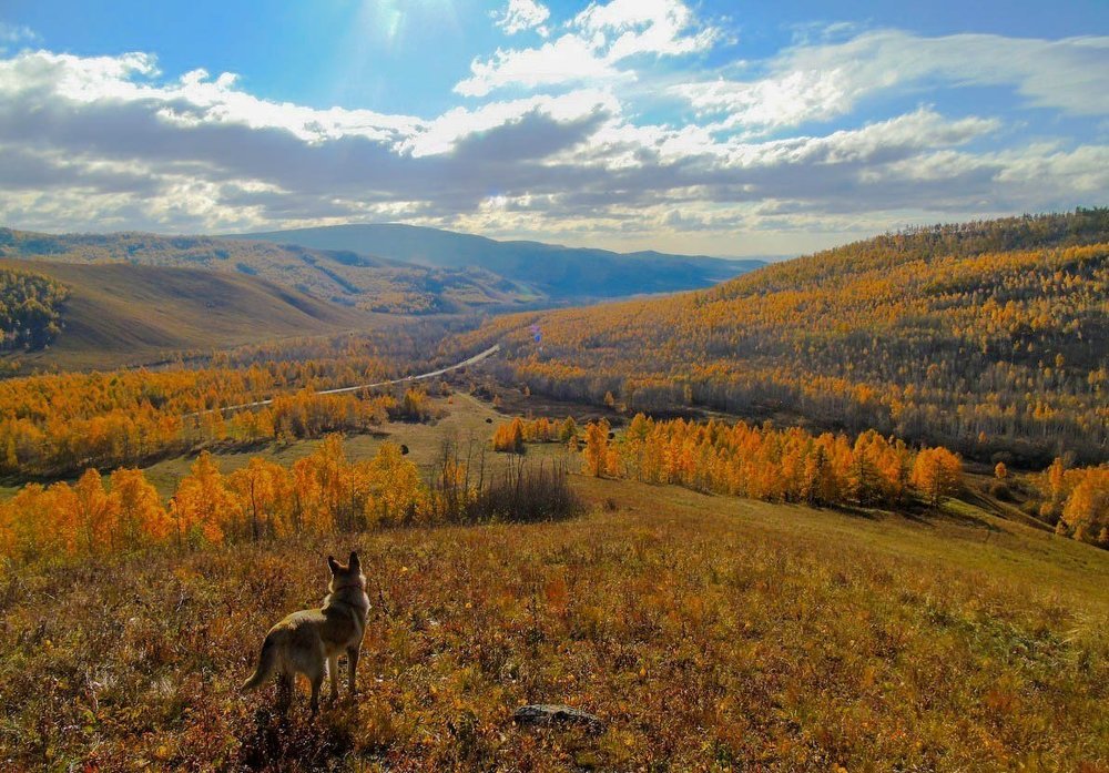 Осень. Пуринский хребет