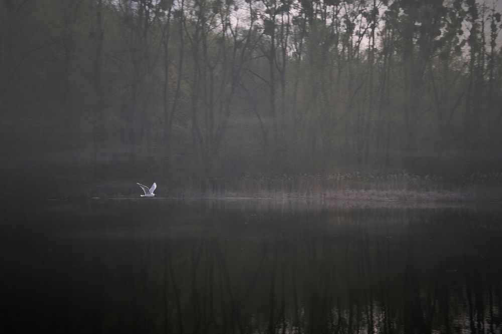 Вечер