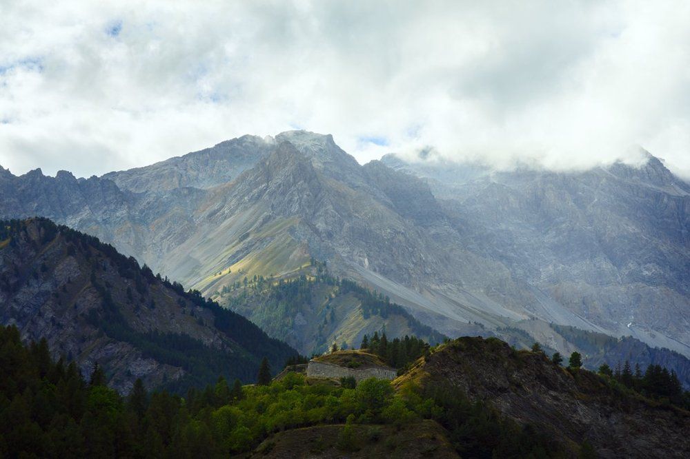 Золотой миг