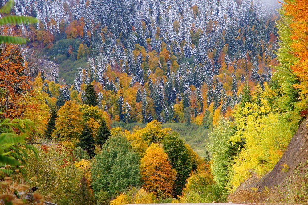 Осень в горах