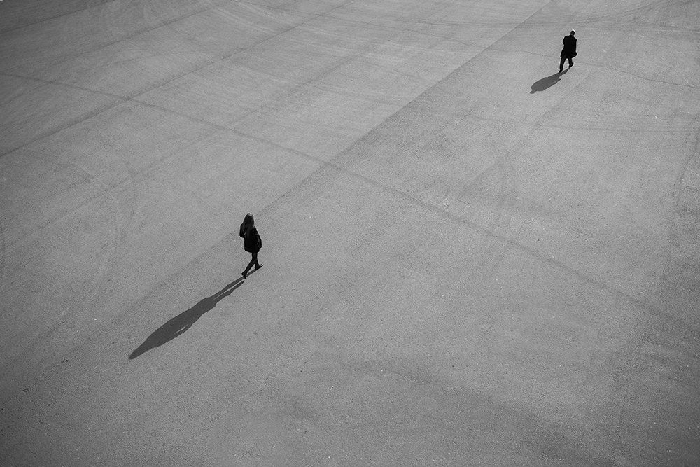 среди линий и теней