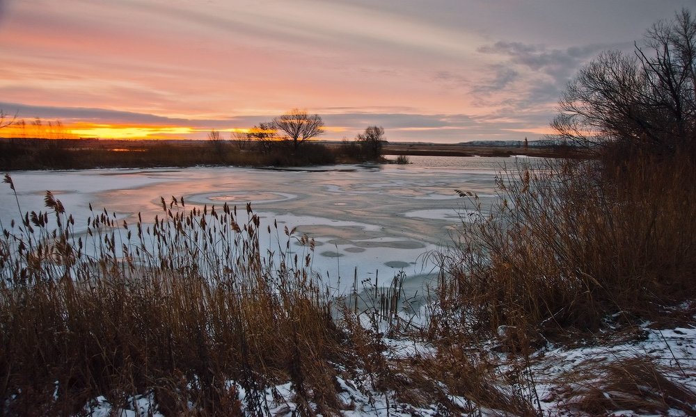 Перед рассветом