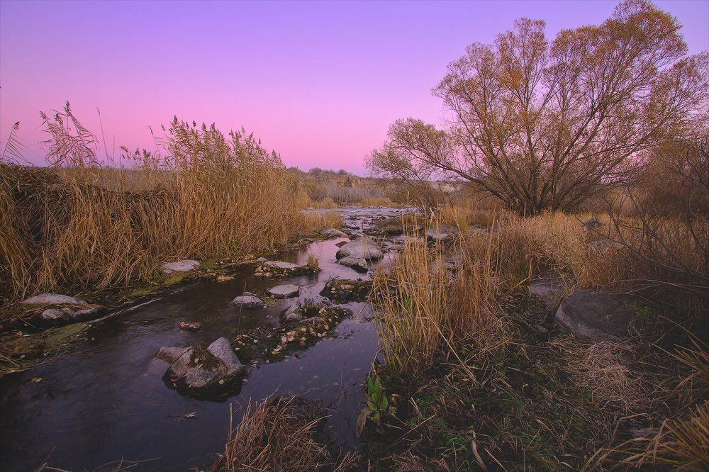 Как опускается ночь
