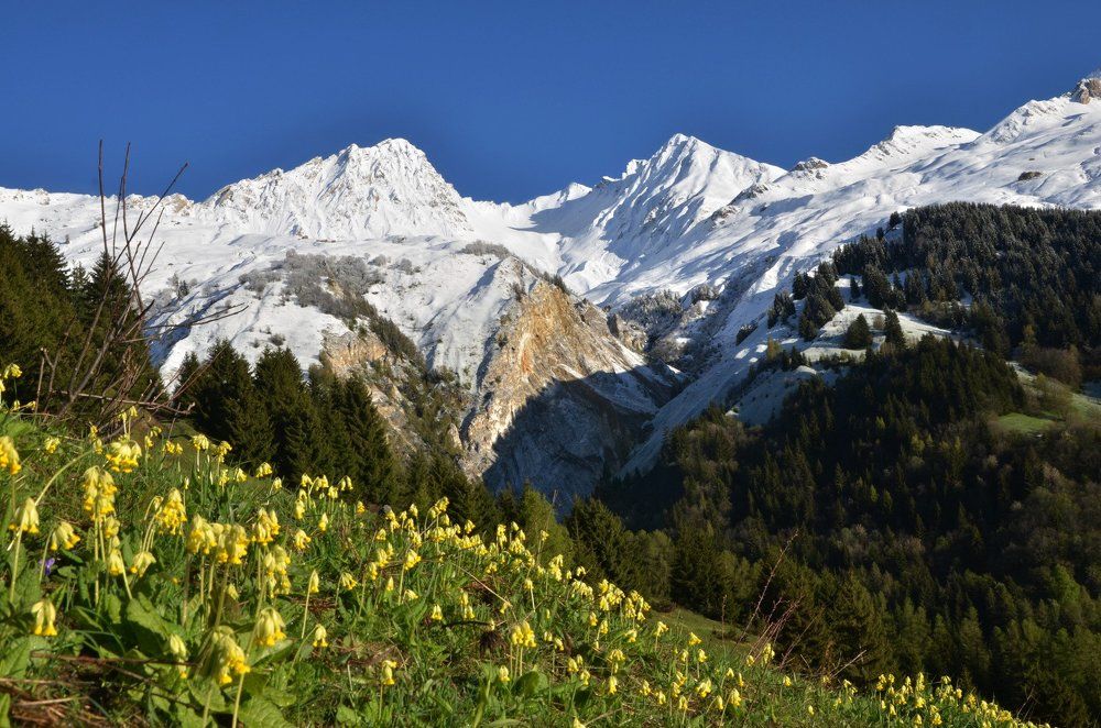 Le Rognaix 2999m (France)