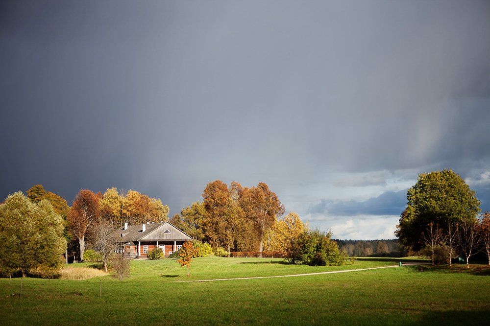 Перед грозой