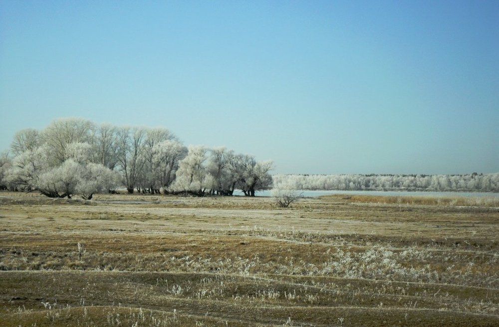 Photograph by Виталий