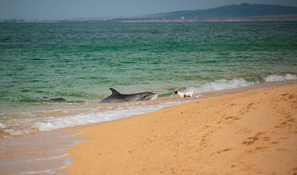 Встреча двух миров