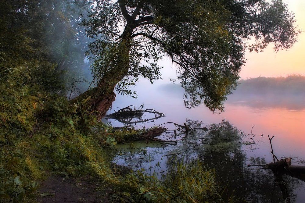 Про утро на реке