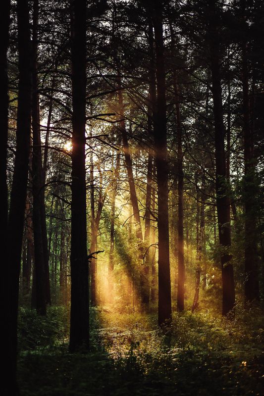 Anastasiya Zhemchuzhnaya, Russia