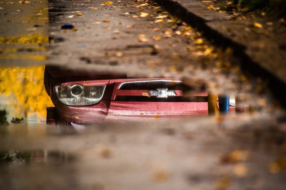 Осенний взор