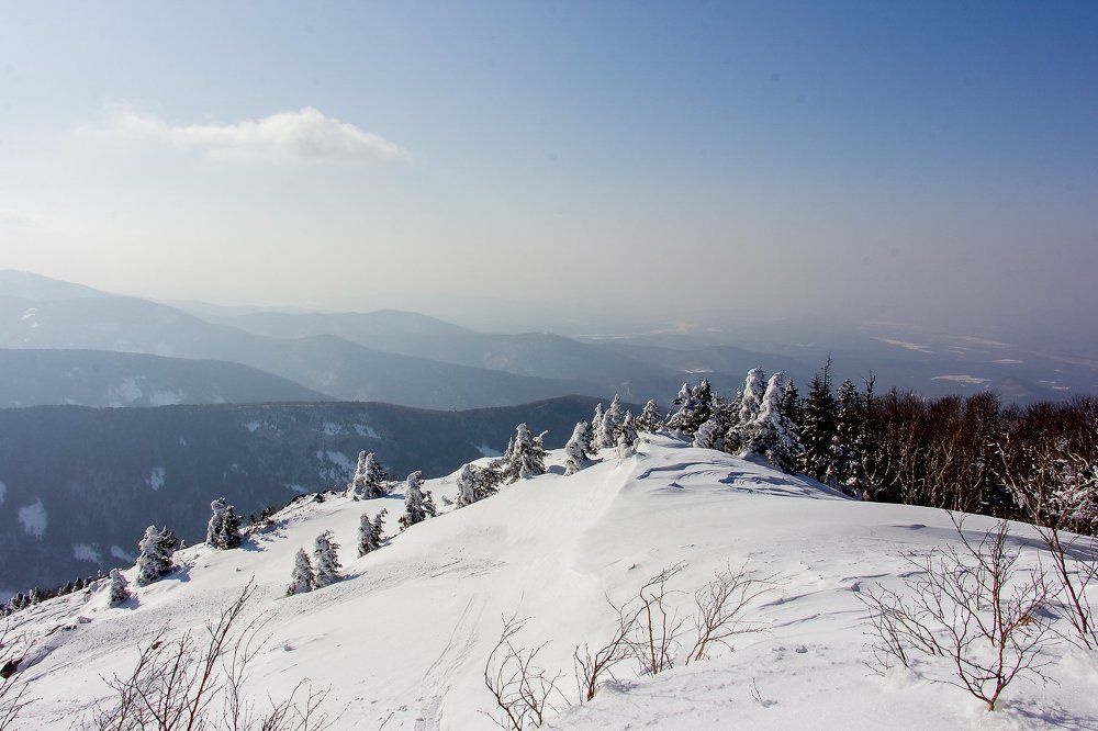 Photograph by Ольга Оверко