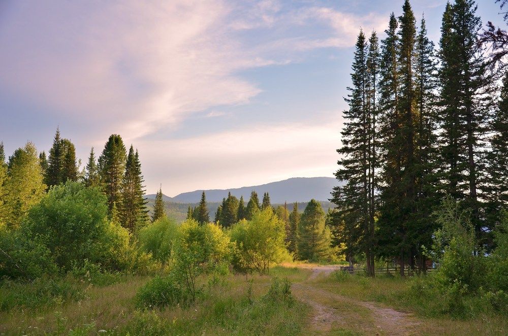 Алтайский край