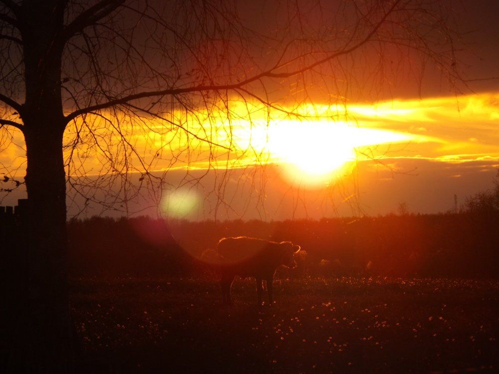 Photo #1034856