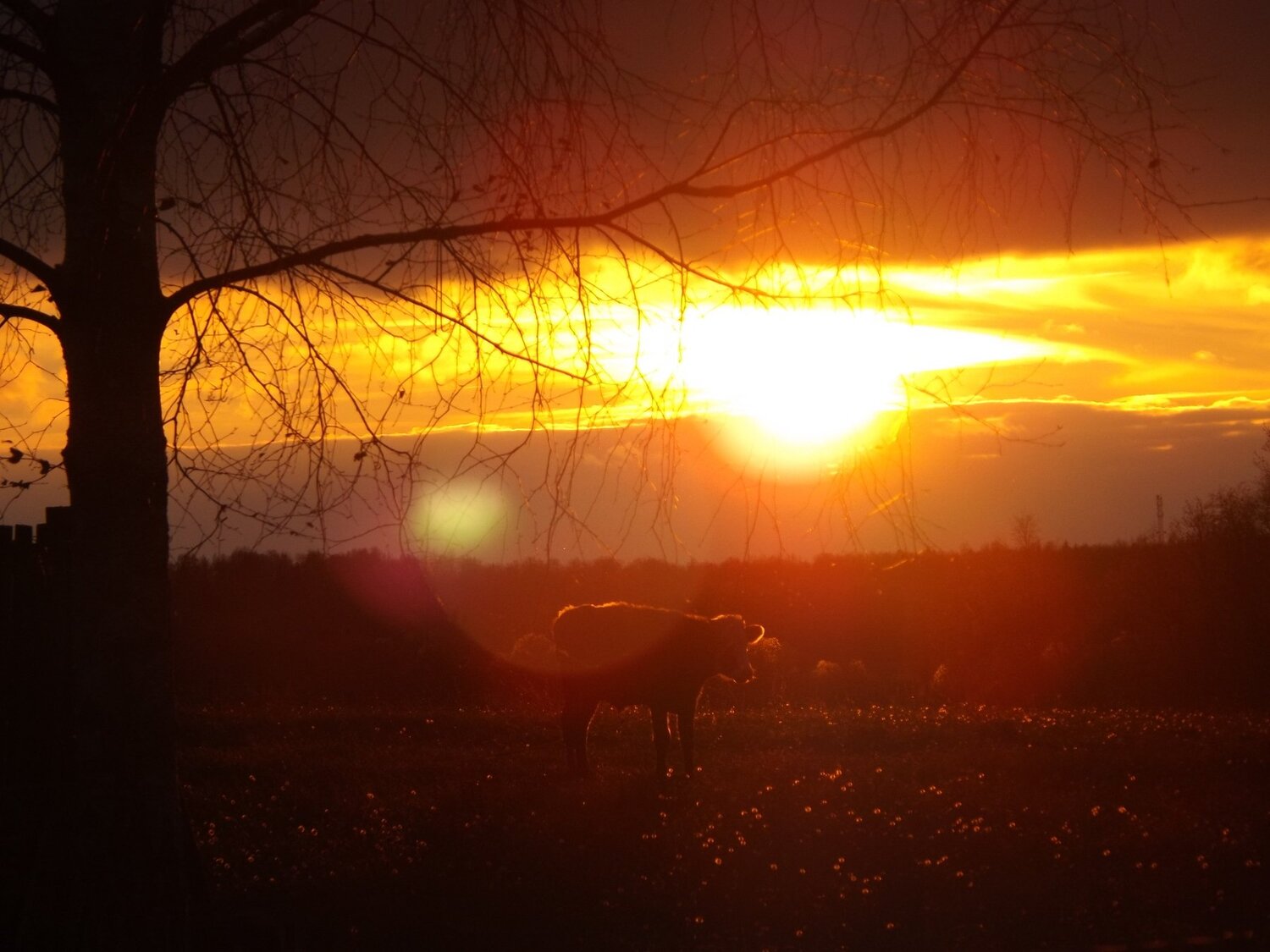 Photo #1034856