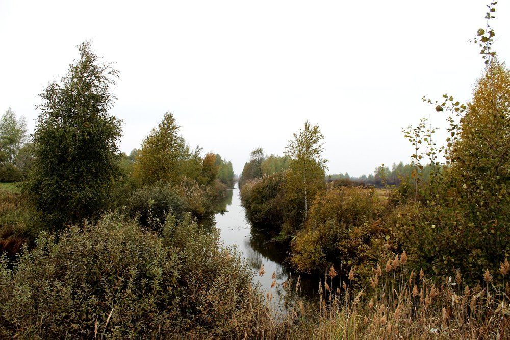 Photograph by Анна