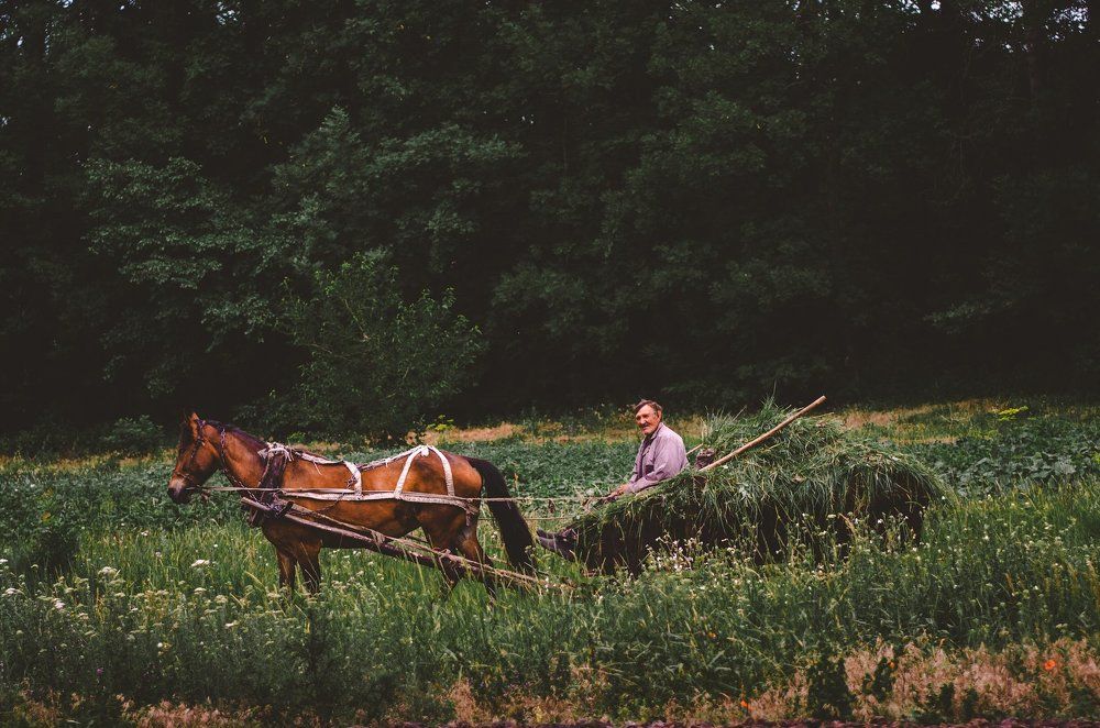 Photograph by слава