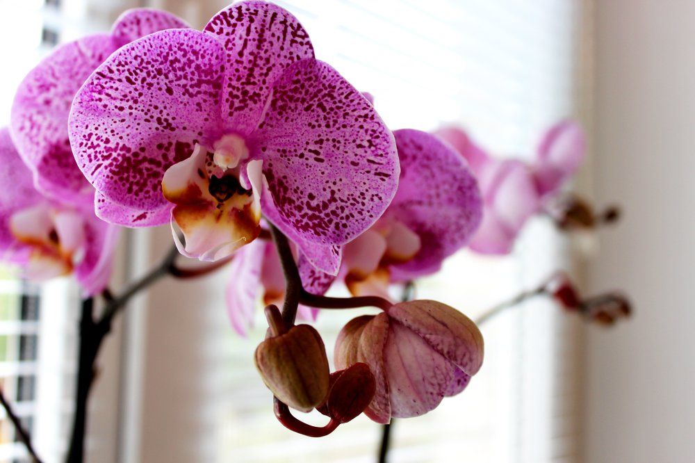 Photograph by Анна