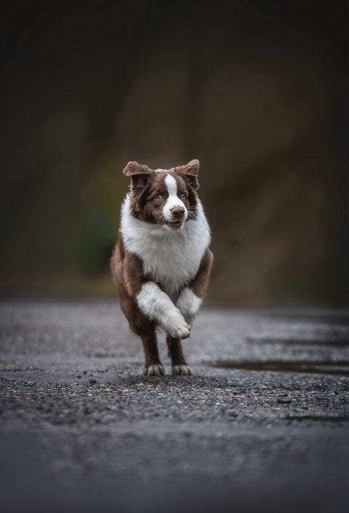 Photograph by Александр Мостовой