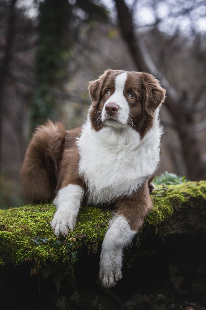 Photograph by Александр Мостовой