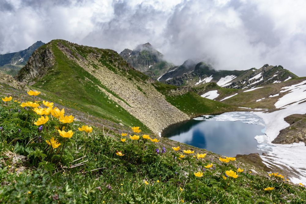 Фотография автора Мария Рохмистрова