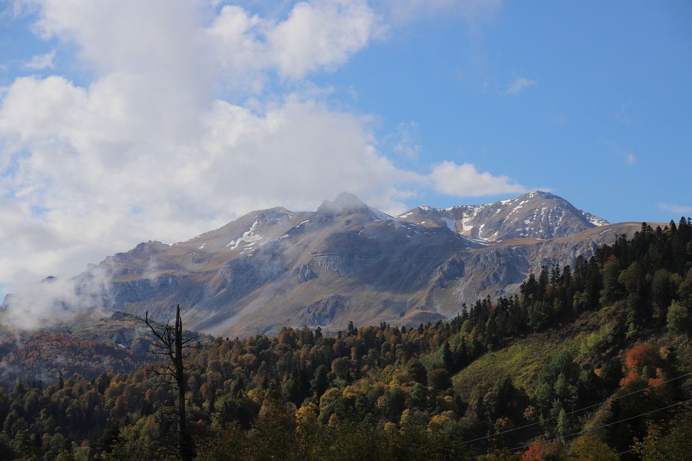 Photograph by Юлия Баринова