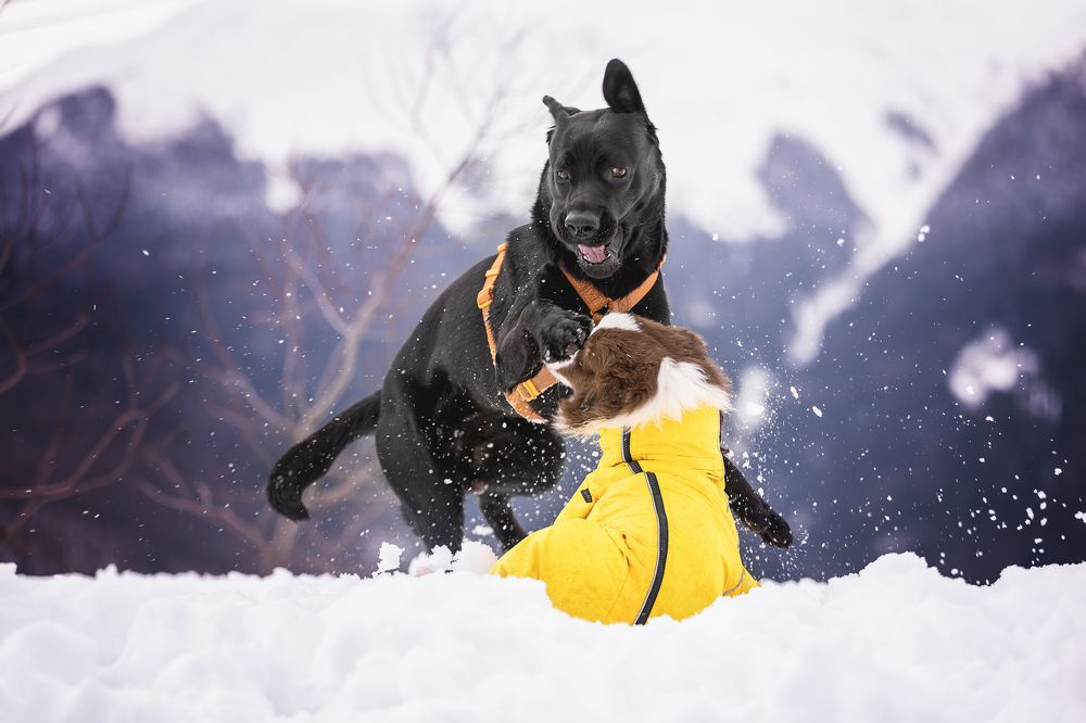 Photograph by Ирина Голомб