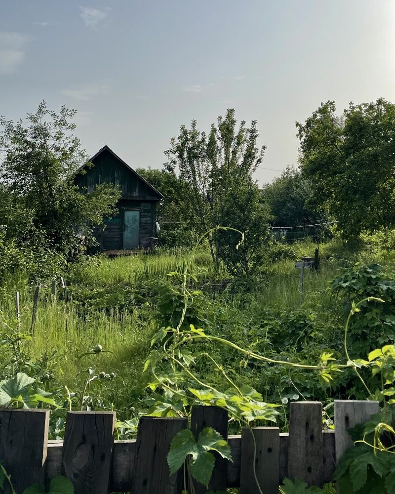 Photograph by Юлия Немцова