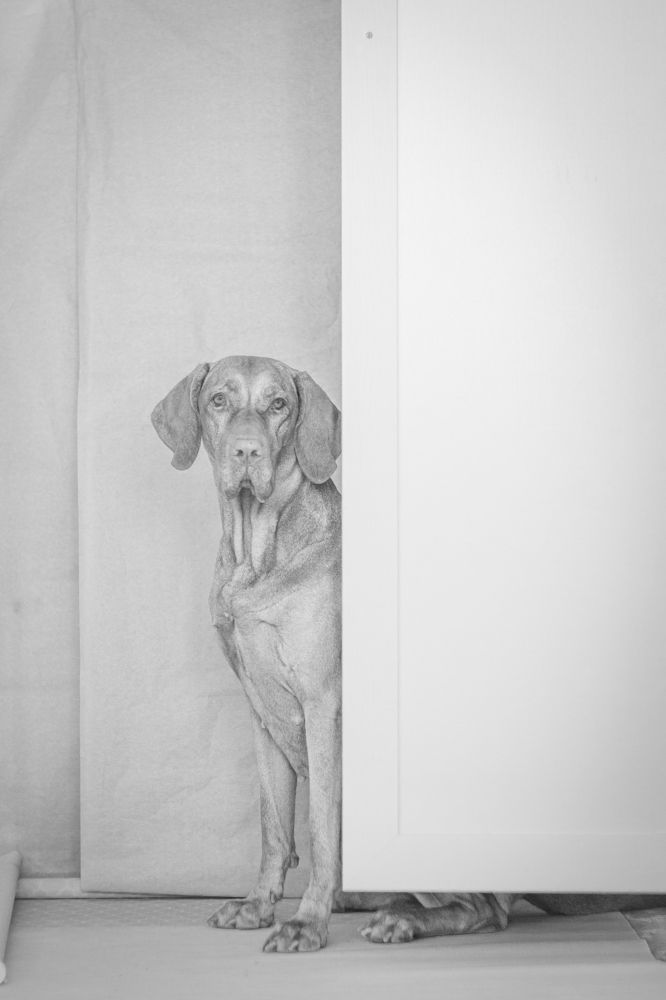 Photograph by Эльнара Васифовна