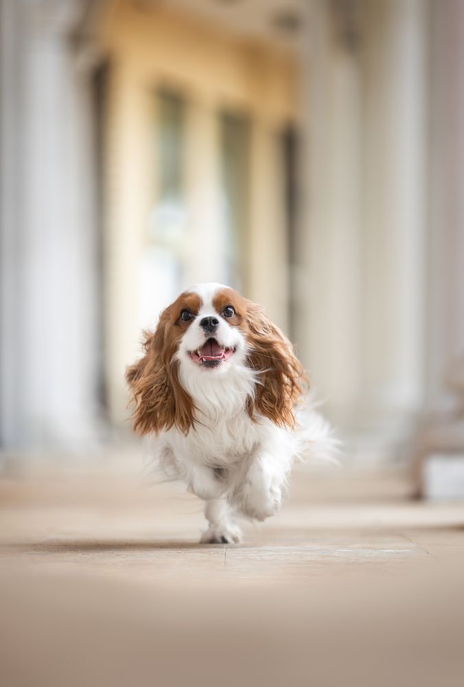 Photograph by Ирина Голомб