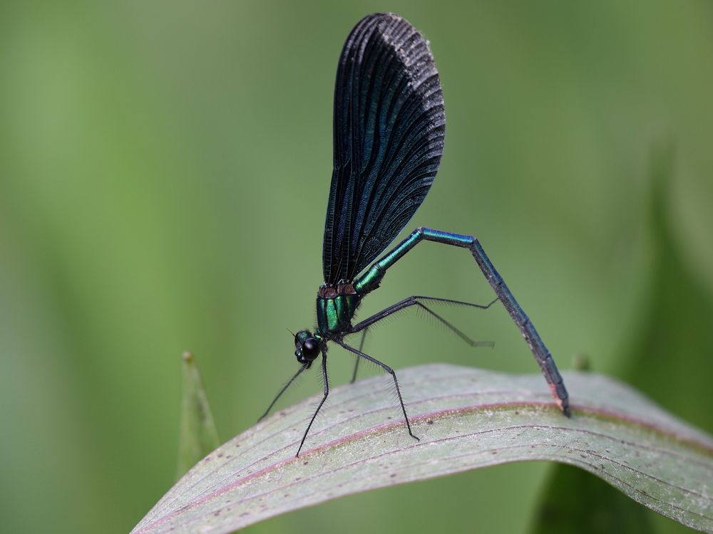 Photograph by Борис Лишневский