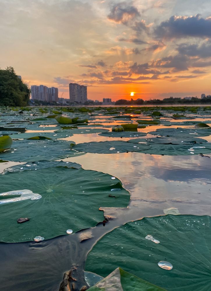 Photograph by Мария Чернецова