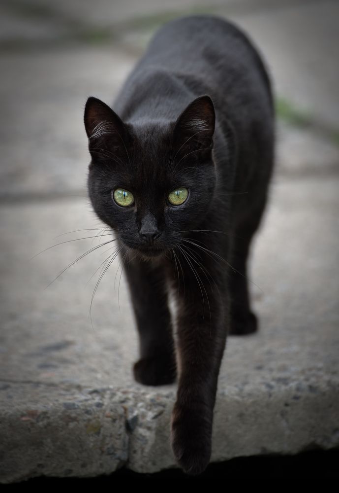 Photograph by (AlexOldmanPhoto) Алексей Стариков